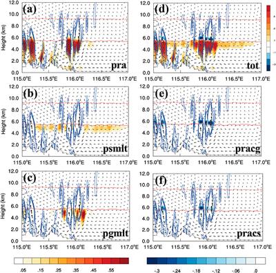 Roles of synoptic characteristics and microphysics processes on the heavy rain event over Beijing region during 29 July to 2 August 2023